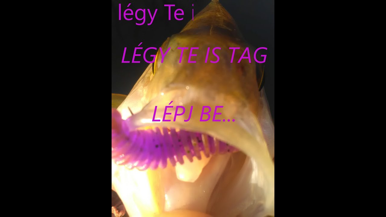 kényes horgász témák... érdekes beszélgetés...- horgászat Kirillel 01.08