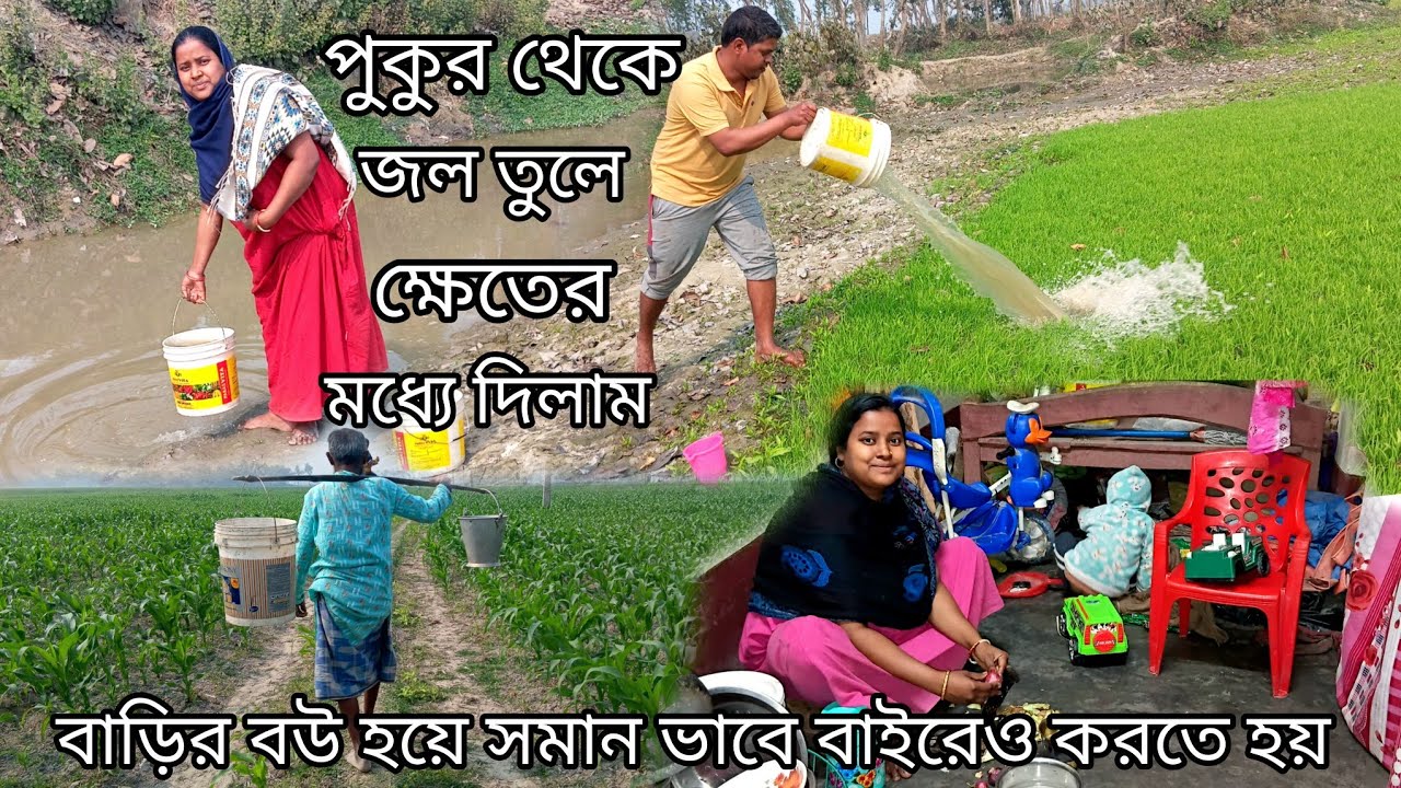 গ্রামের বউ হয়ে মাঠে কাজ করবো না তা কখনো হয় তোমারই বল বন্ধুরা কেমন লাগলো vlo ta comment a জানিও plz