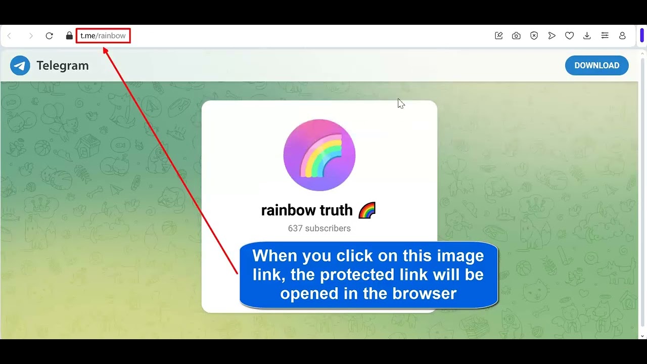 ContactProtect Widget: How It Works