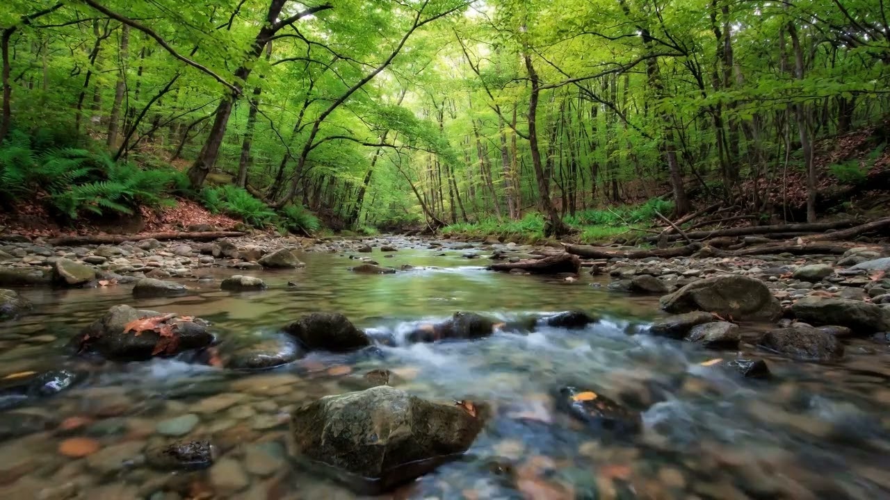 😭 STOP OVERTHINKING NOW 😭 3 Hours of INSTANT CALM Music for Deep Focus & Anxiety Relief
