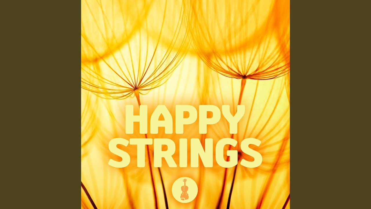 Symphony No. 24 in B-Flat Major, K. 182: I. Allegro spiritoso