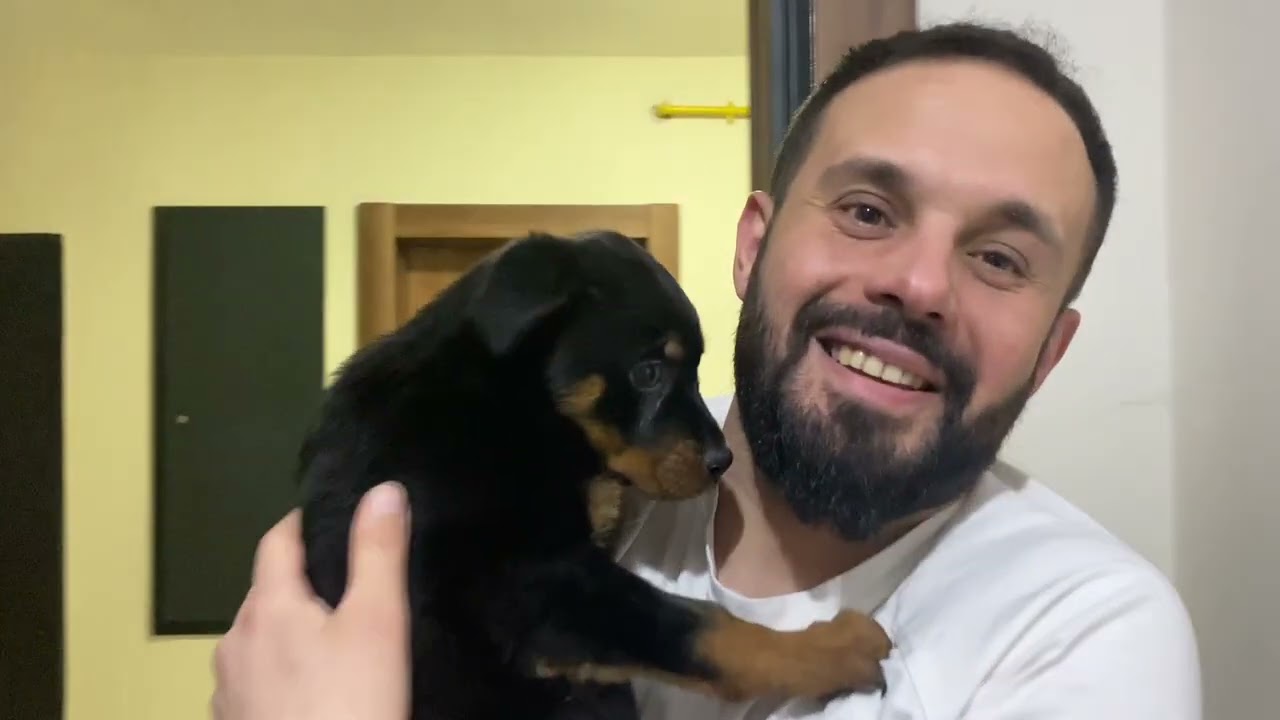 Rottweiler Parsın Yavrusunu Almaya Gidiyoruz !  Yeni Köpeğimiz 