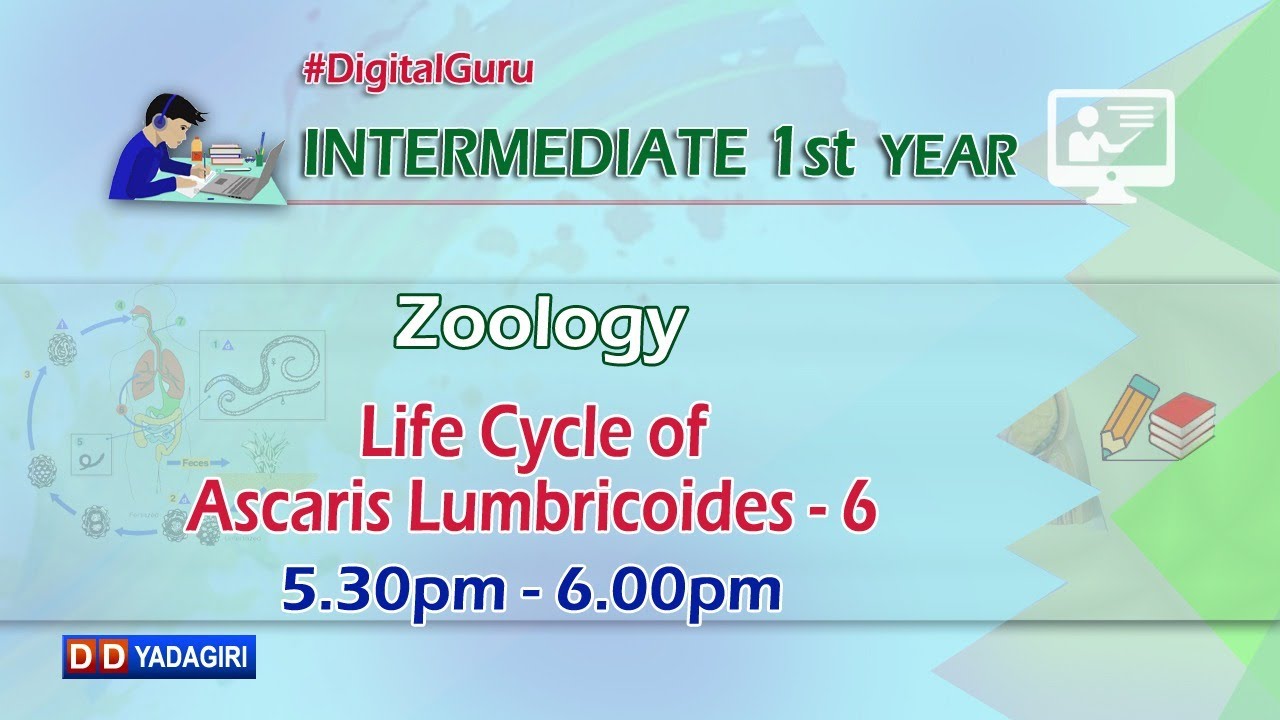 1st Inter Zoology || Life Cycle of Ascaris Lumbricoides || Intermediate Education || Oct 16, 2020