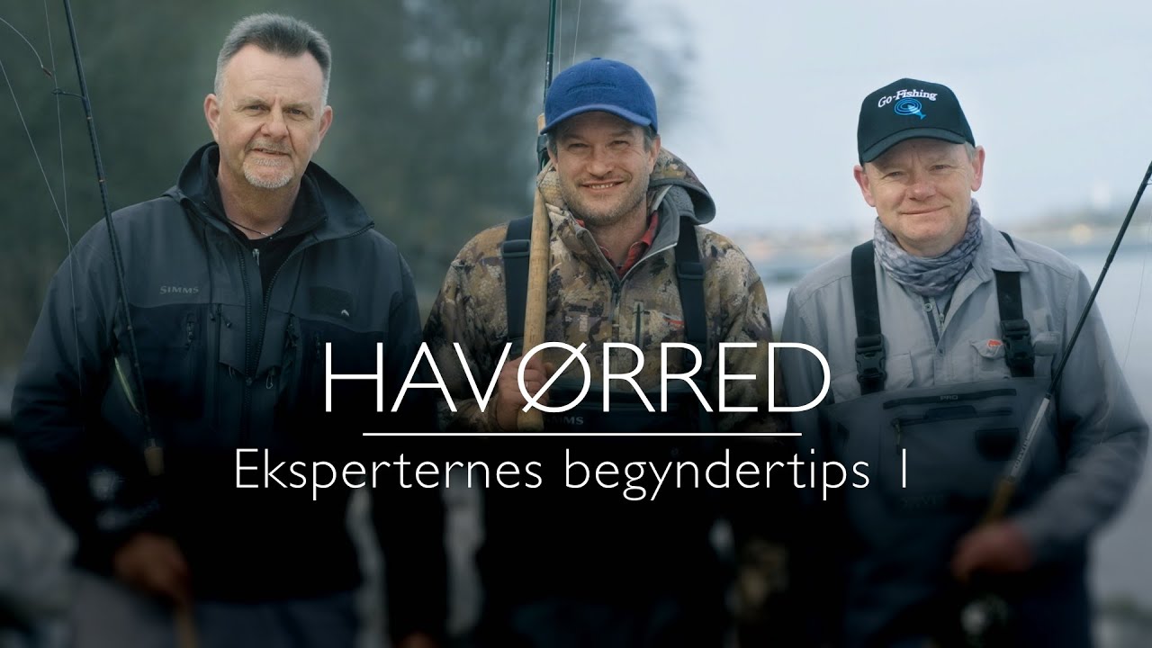 Fiskeguiden – Havørred: Eksperternes begyndertips 1