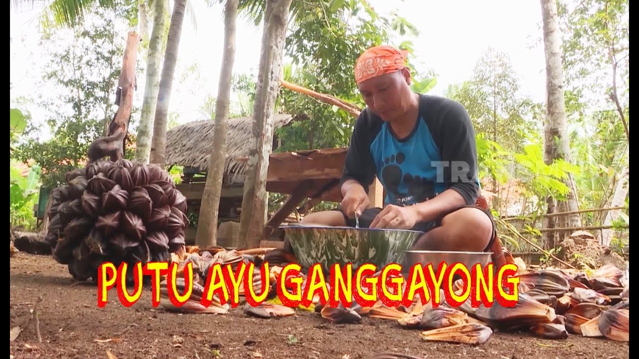 Putu Ayu Ganggayong | JEJAK SI GUNDUL (26/12/19) Part 1