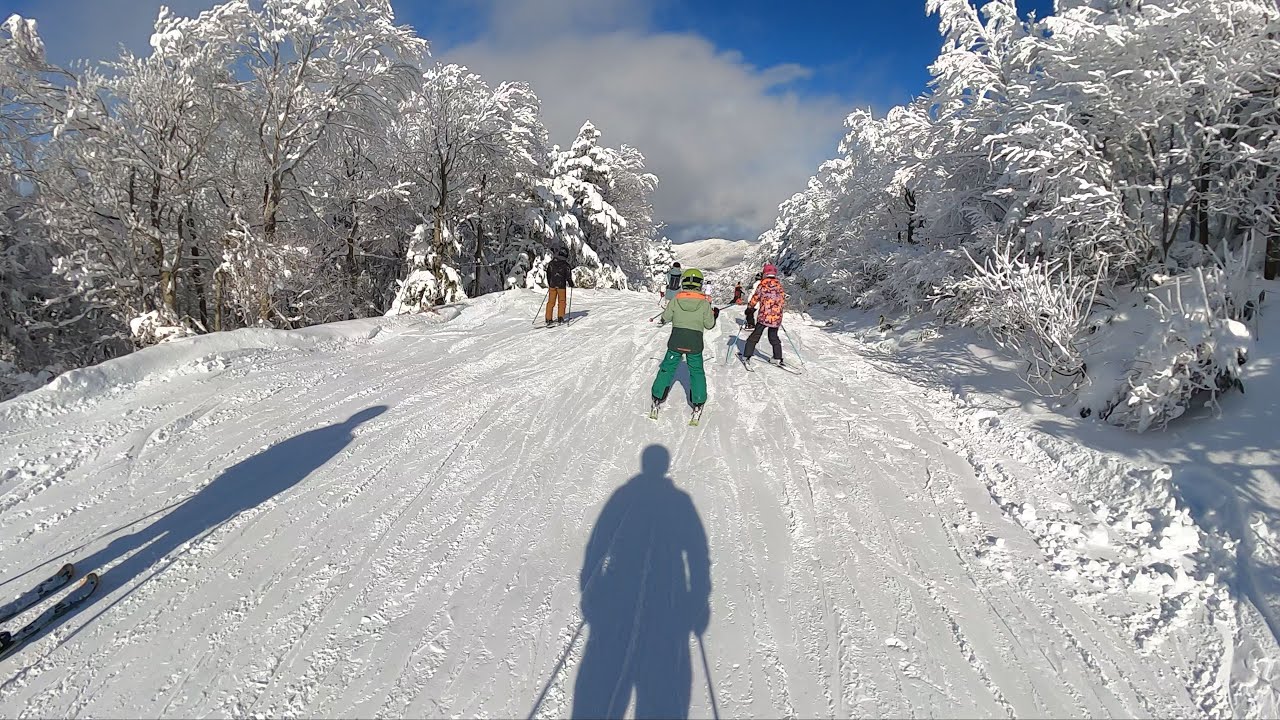 Fruito in Action : Zao Onsen Ski