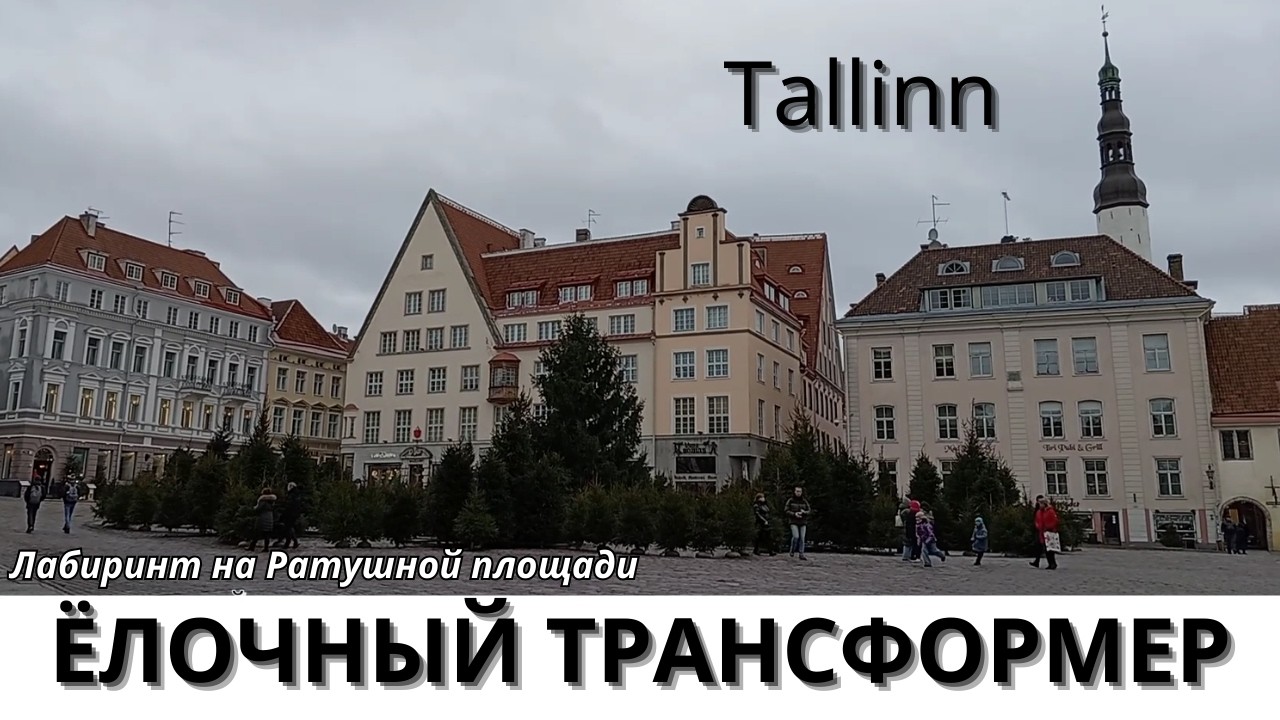 Ёлочный лабиринт в Таллинне. Christmas Tree Labyrinth in Tallinn 🌲🌀