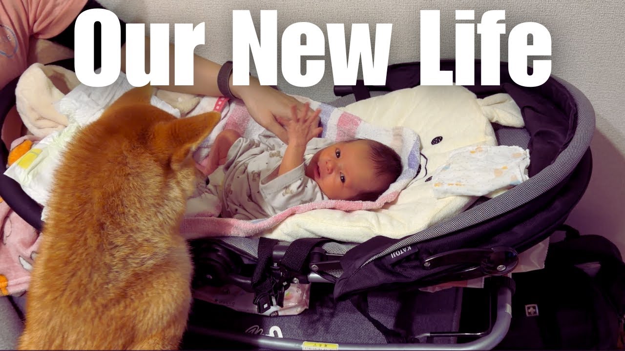 Our First Month as Parents in Japan (and how Chacha is handling it)