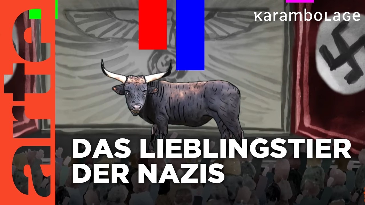 Der Auerochse | Karambolage | ARTE