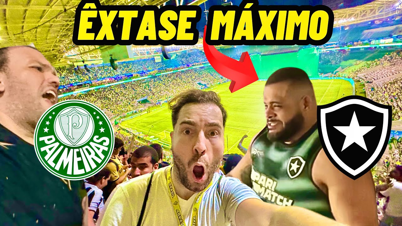 TORCEDOR DO BOTAFOGO CHOROU DE EMOÇÃO NO ALLIANZ PARQUE/ Palmeiras 1 x 3 Botafogo