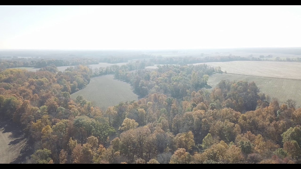 Young Estate | 80 Acre Tract | Center View