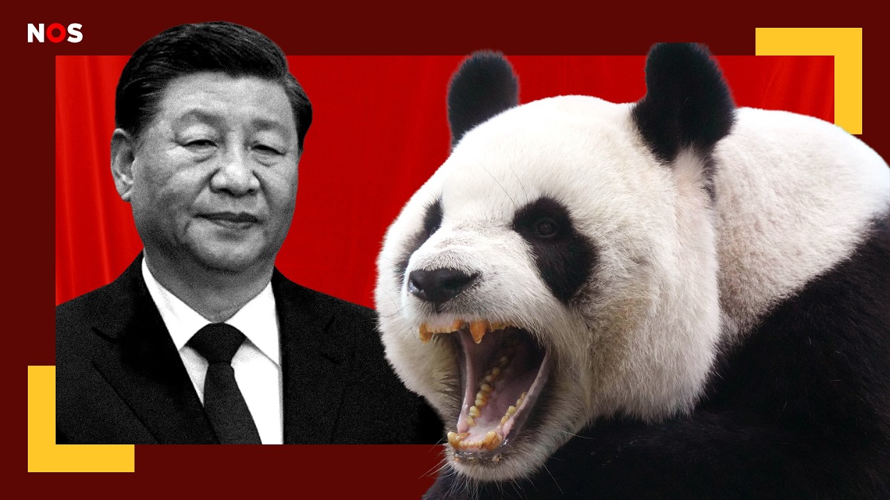 Dit zijn China’s donzige diplomaten