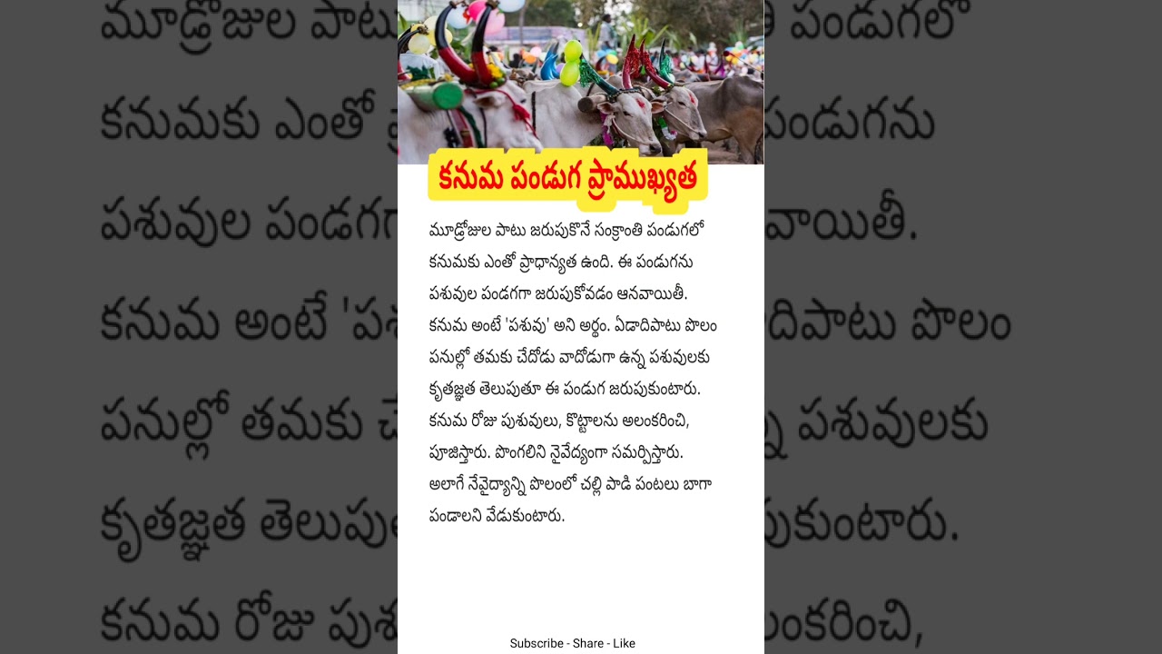 కనుమ పండుగ ప్రాముఖ్యత ll Kanuma festival ll #horoscope #shortsviral #namasteg #telugu