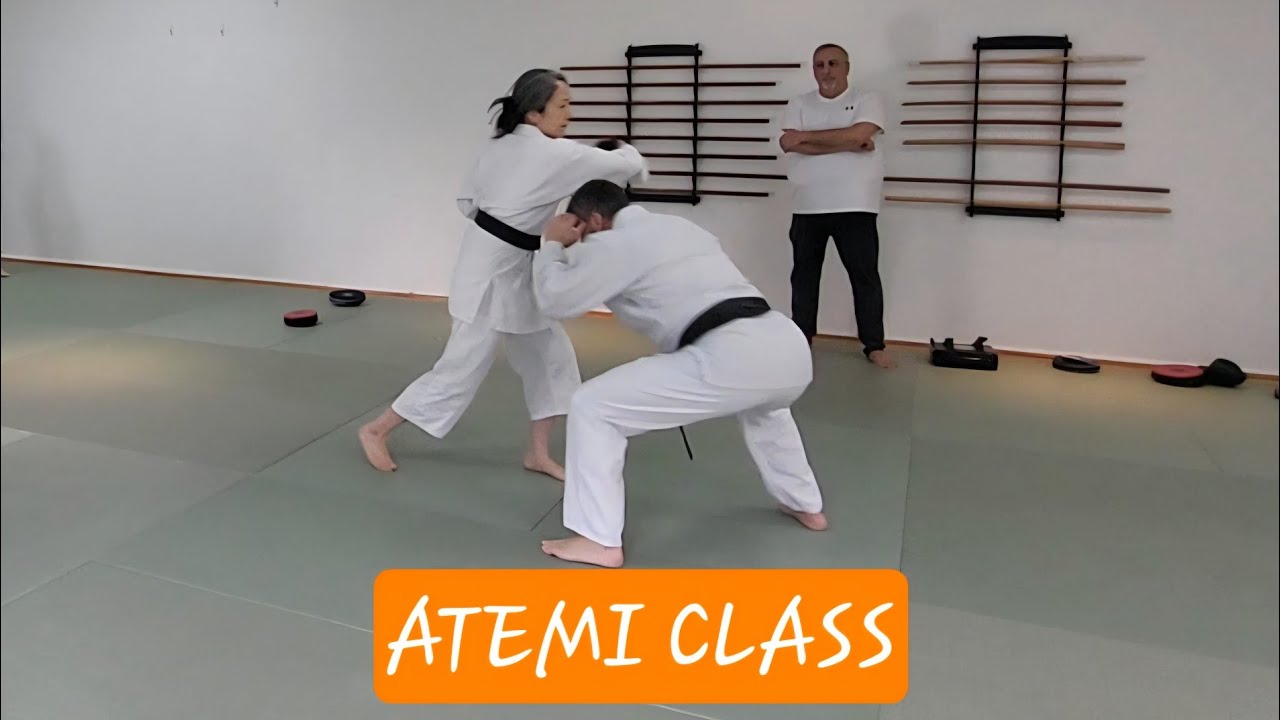 Atemi class