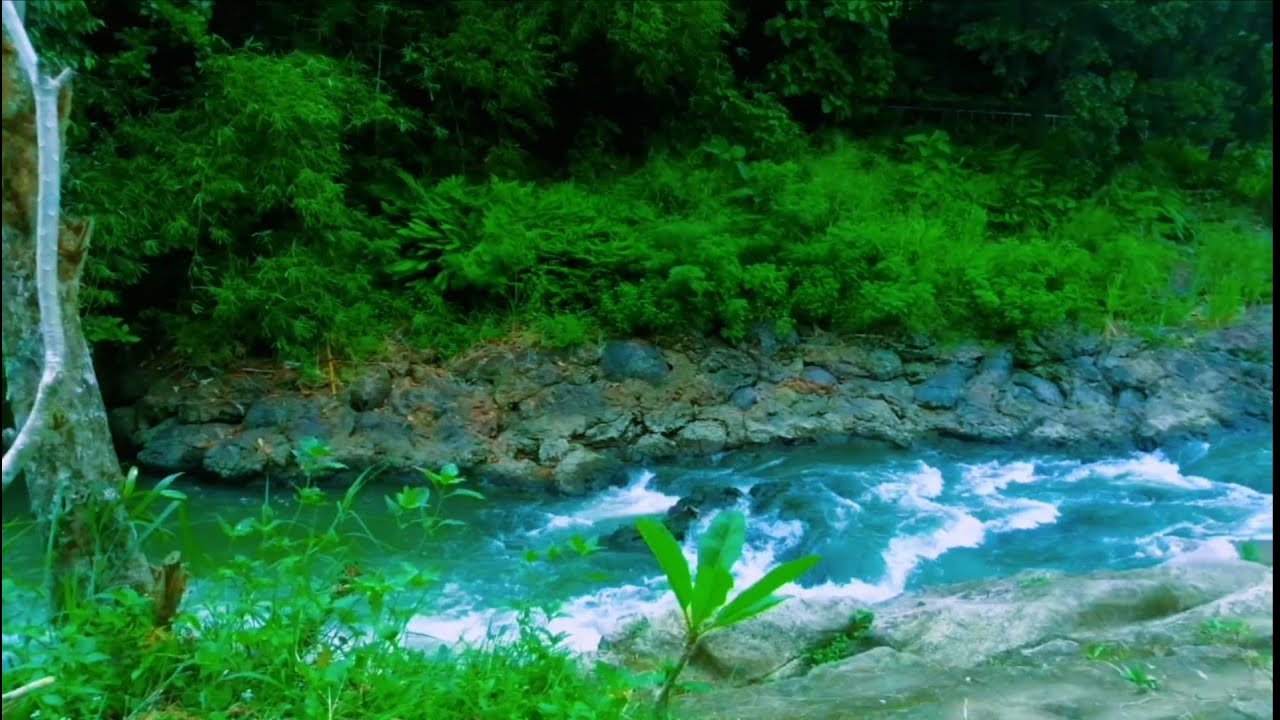Deep Relaxation with Peaceful River Sounds  Calming Water Flow.