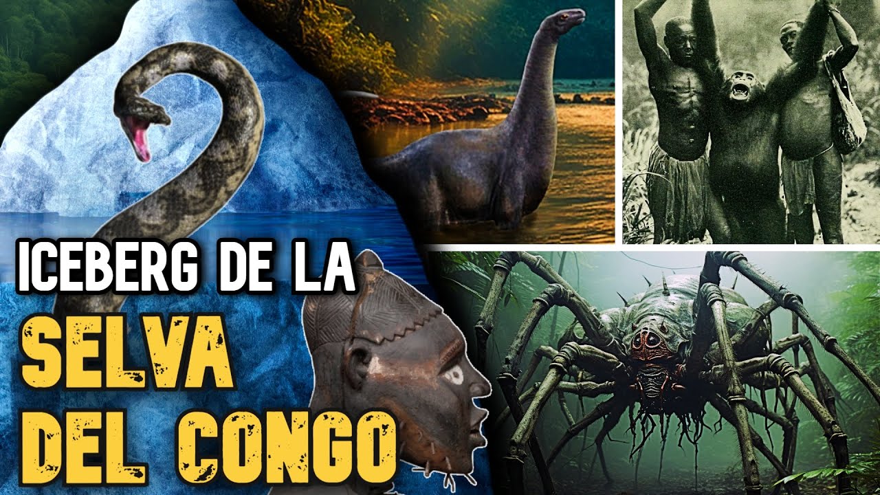 EL ICEBERG DE LA SELVA DEL CONGO🦍 | Explicado