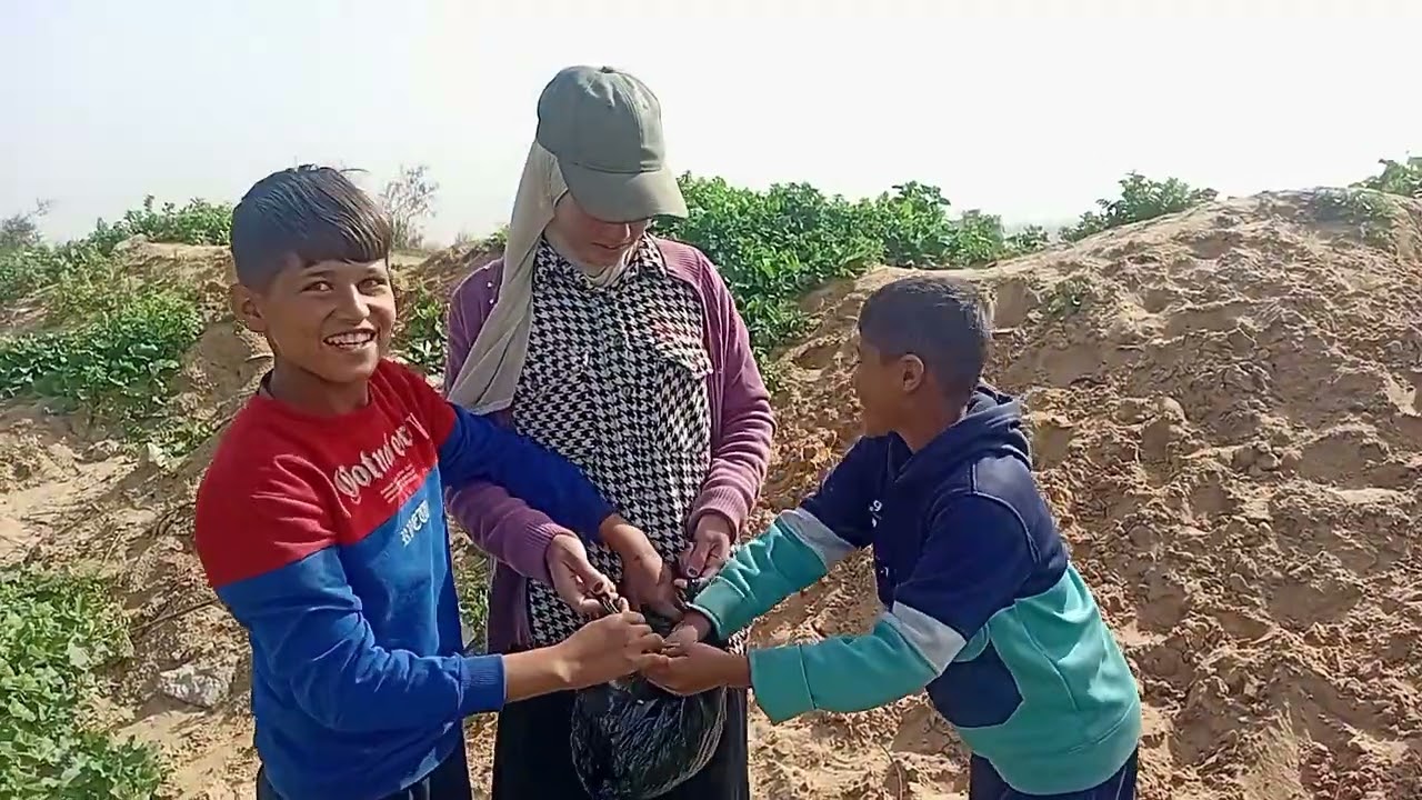 مناظر الورق الأخضر بجنن ماشالله #love #gaza 