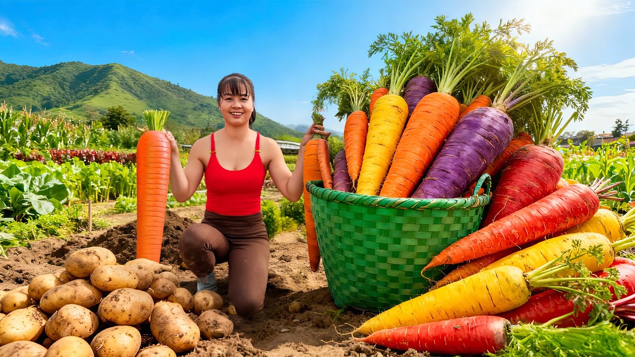 TIMELAPSE -- Harvest 1000+ Carrots, Potatoes, Mushrooms... Transport Many Carrots, Go to Market Sell