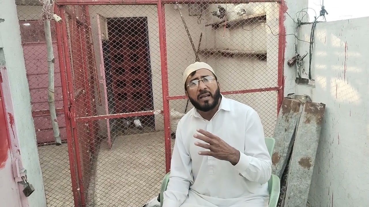 بچے وہ نکلوانے چاہیے جو آپ کے گھر واپس بھی آئیں۔۔۔🕊️🙂