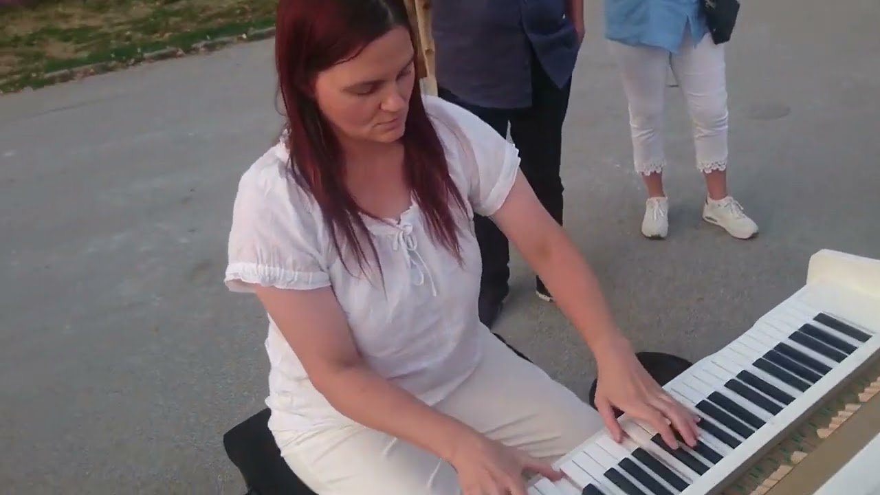 Piano Travellers Donaukanal 🎶🛳🎹