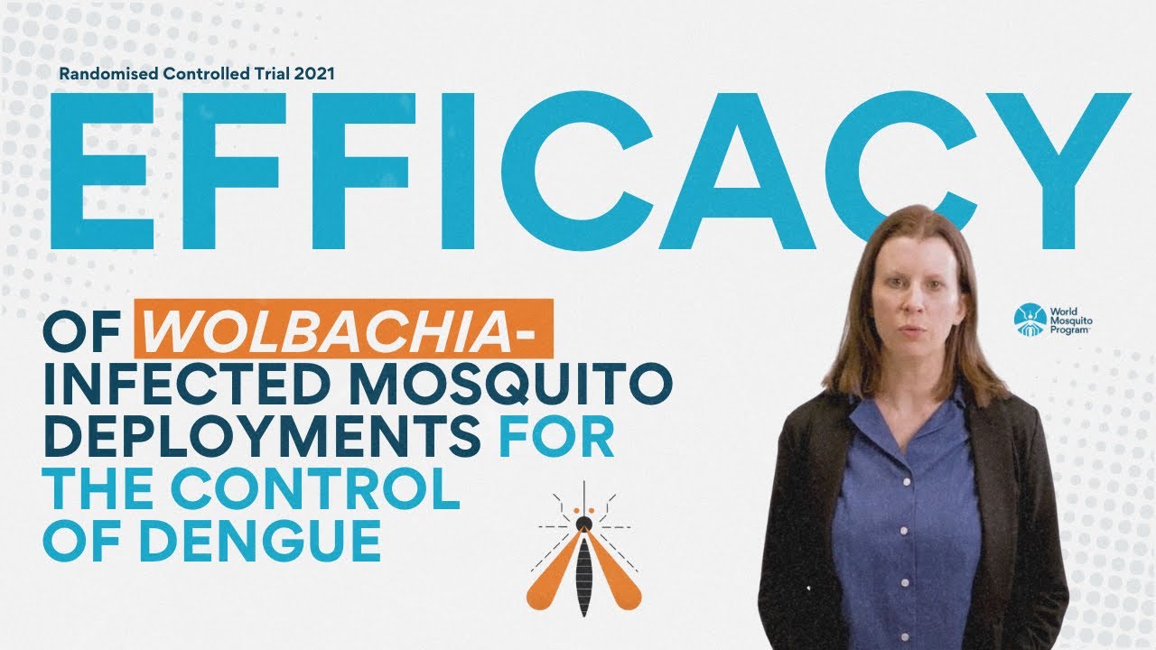 Video Abstract – Efficacy of Wolbachia-infected Mosquito Deployments for the Control of Dengue