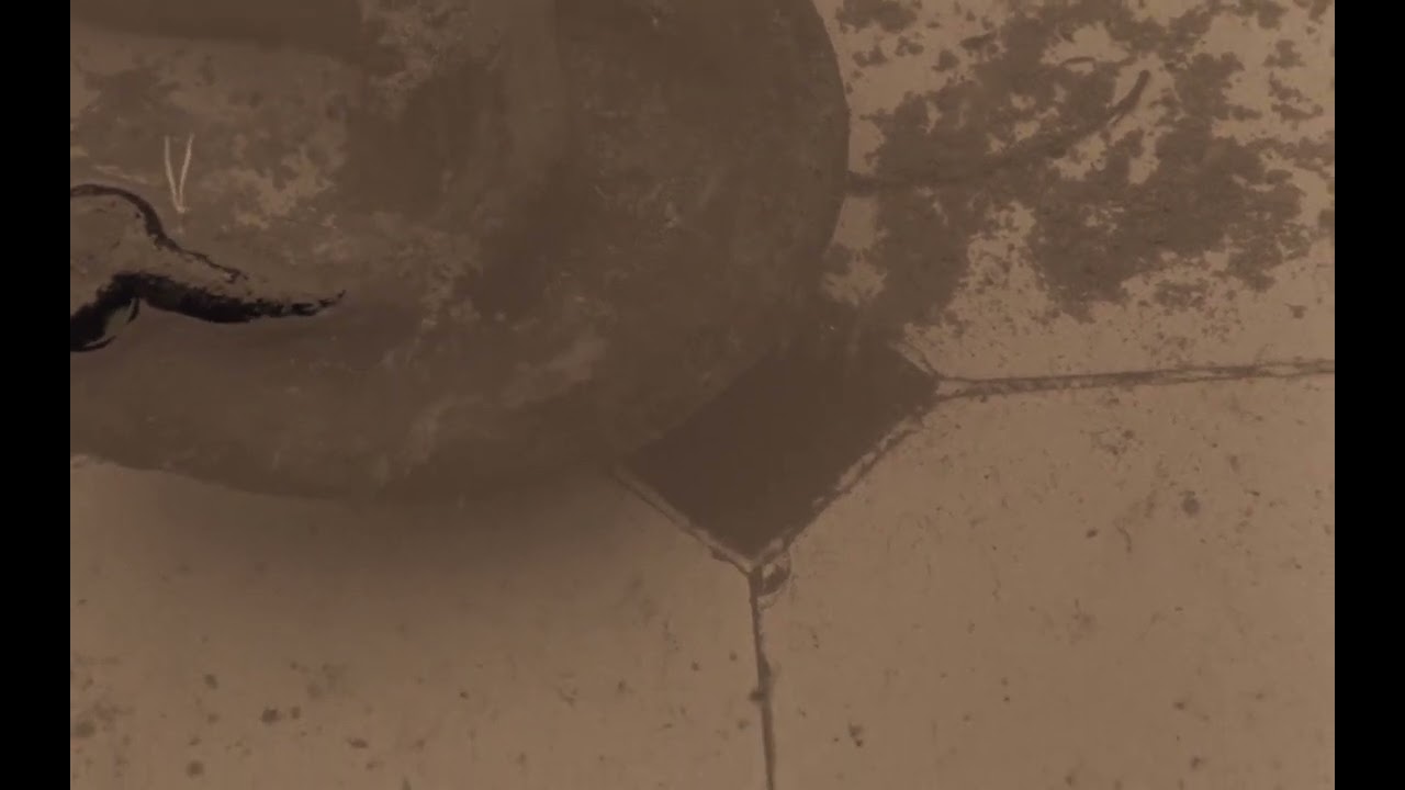 STALKER Tarkovsky water live wallpaper 1920x1200.