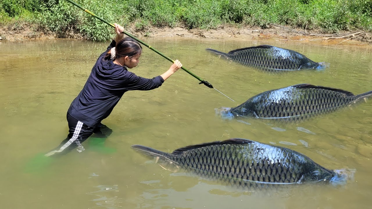 30 days to catch fish with daughter. uses trees and iron to catch fish. How to catch ancient fish