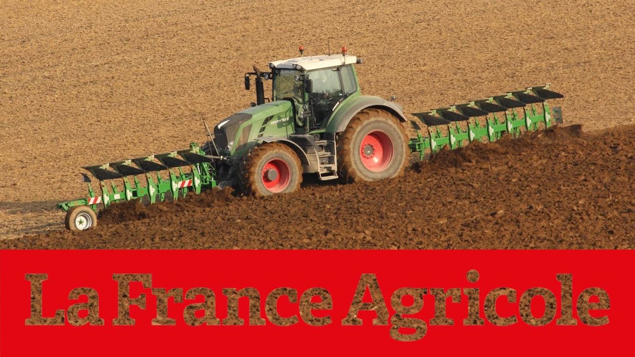 Reportage : Labour avec 12 corps répartis à l’avant et l’arrière