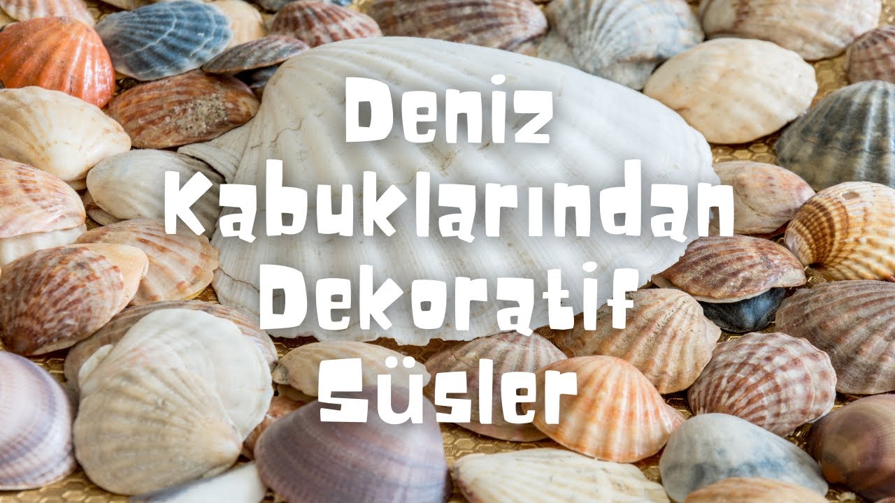 DENİZ KABUKLARINDAN DEKORATİF SÜSLER | 3 FARKLI FİKİR