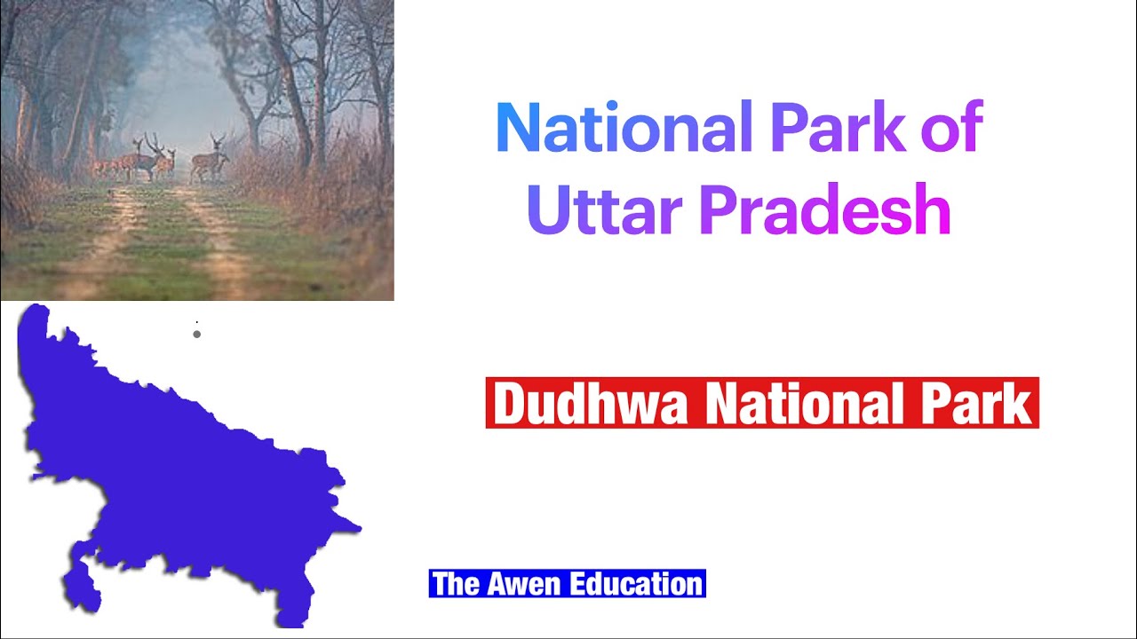 National Park of Uttar Pradesh #NP5#Upsc #Uppsc#Hpsc#UttarPradesh#NationalPark
