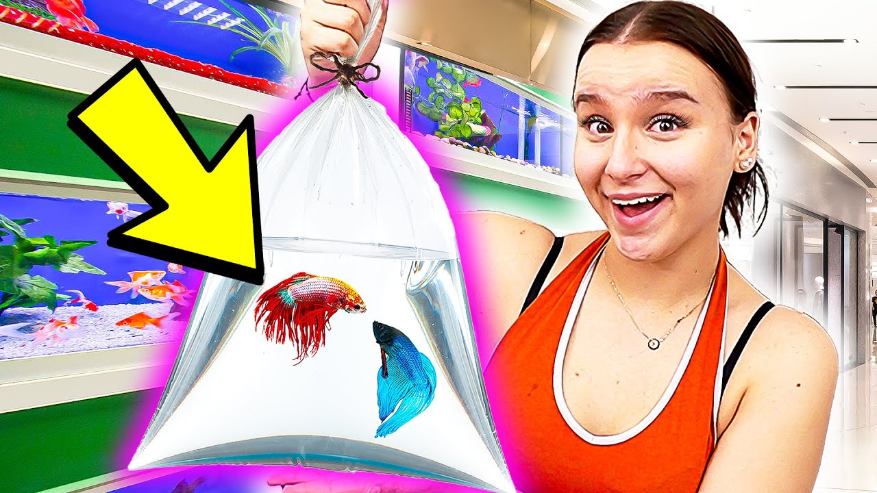 Ich zeige euch MEINE FISCHE ! 🐟🤫 Aquarium kaufen & Einrichten ! - Celina