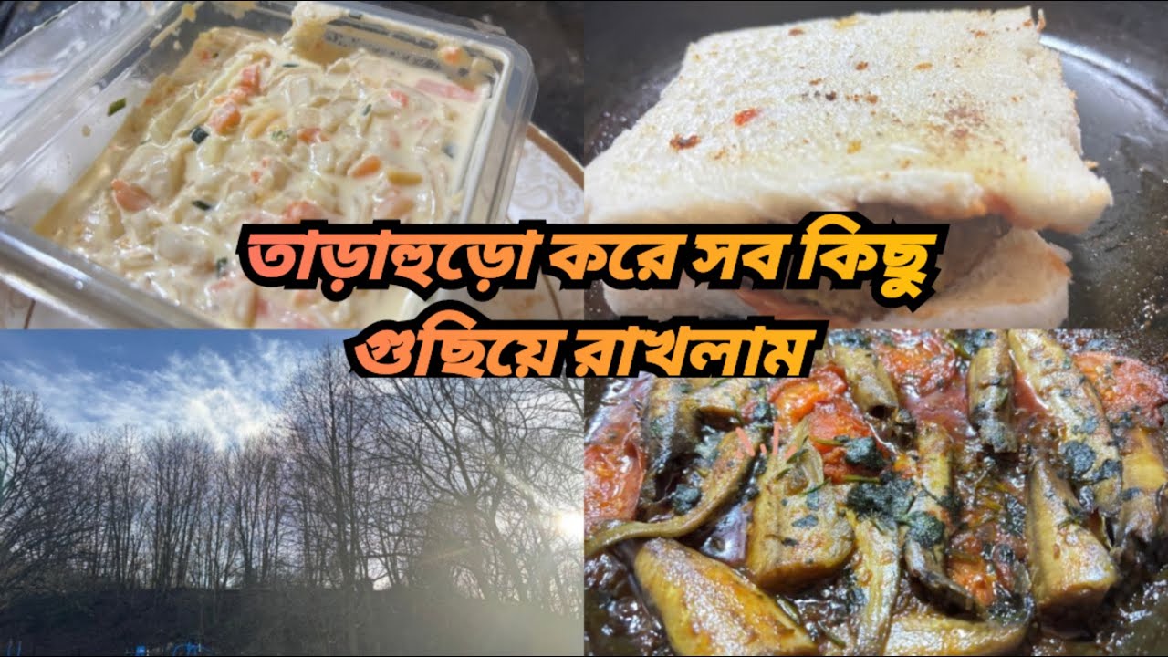 ✨🌿তাড়াহুড়ো করে কাজ করতে হলে তেমনভাবে ভিডিও বানানো হয়ে উঠেনা🇧🇩#dailyvlog#bengalivlog#uk