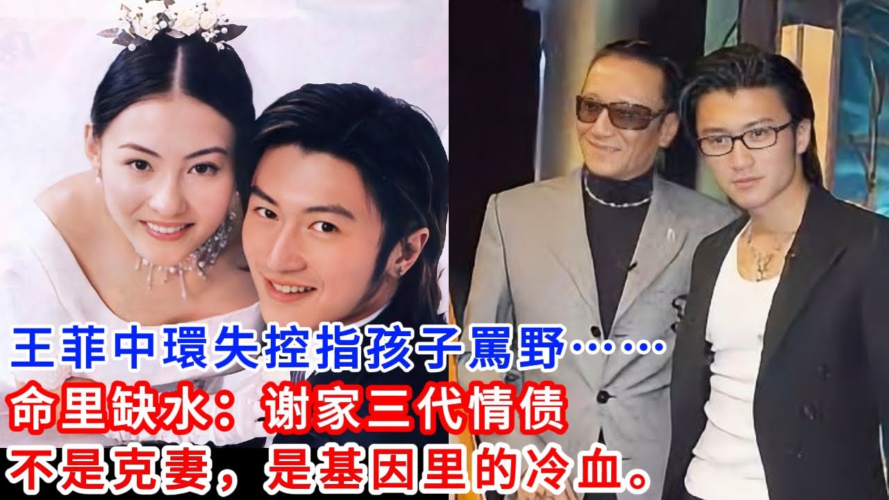 算命的說，謝家的男人命裡缺水。可諷刺的是，這三代男人半輩子都在尋找大海，最後卻溺死在自己的眼淚裡。震撼！謝氏家族三代「克妻」真相：謝賢、謝霆鋒到Lucas，誰也逃不掉的豪門基因詛咒？下一代還會重演嗎