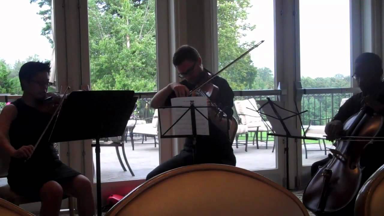 iconiQ String Quartet - Falling in Love At a Coffee Shop, Landon Pigg
