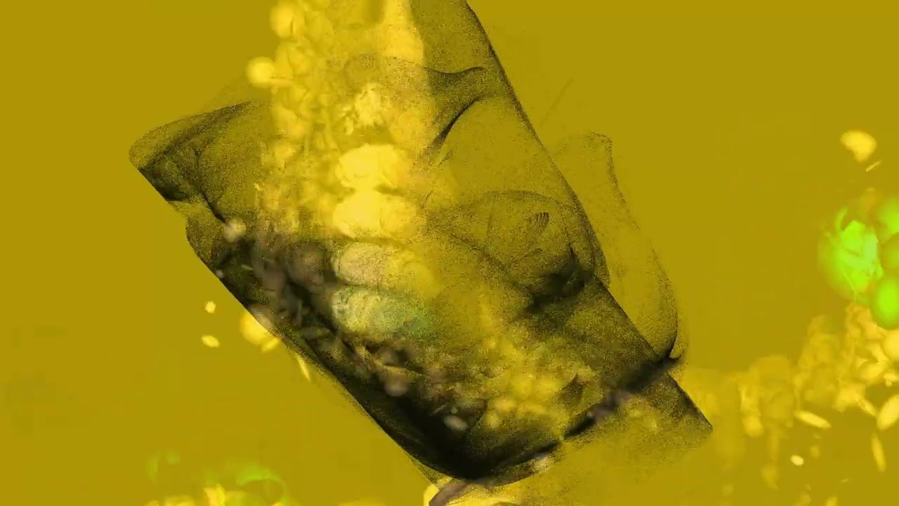 a Digital Lumia .  . ( no sound )