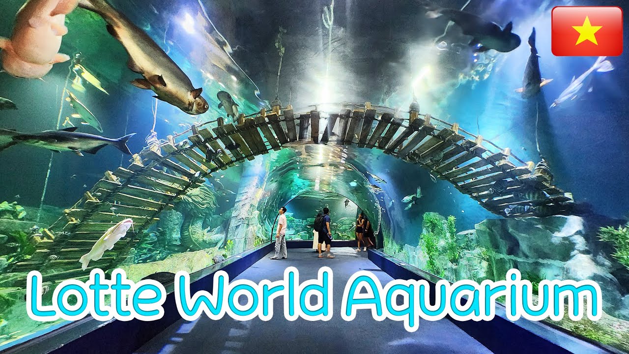 อุโมงค์น้ำที่สวยที่สุดของประเทศเวียดนาม Lotte World Aquarium ฮานอย เวียดนาม