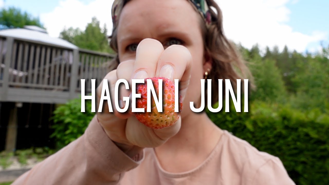 Hagen i juni | 2024