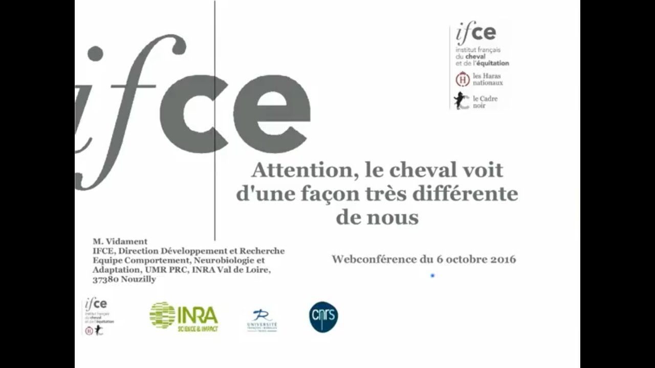 M. Vidament - Attention, le cheval voit d'une façon très différente de nous.
