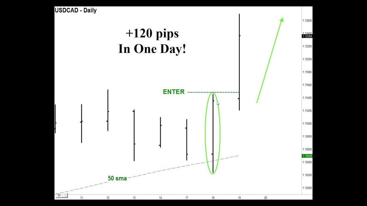 5 Reasons Why Your Trading Is Not Consistent Steven Primo