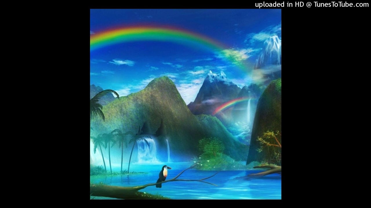 LEONARD 143 (rainforest)