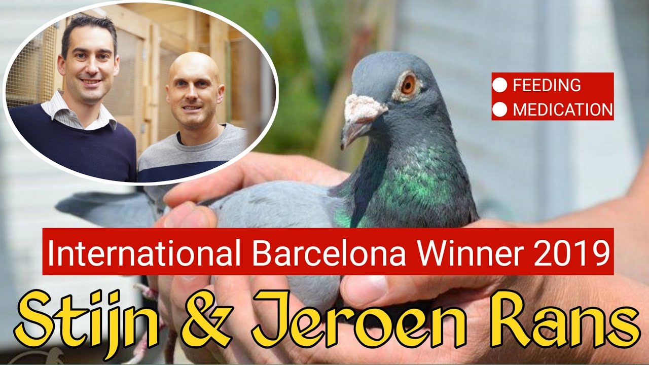 2019 International Barcelona Winner - Stijn & Jeroen Rans