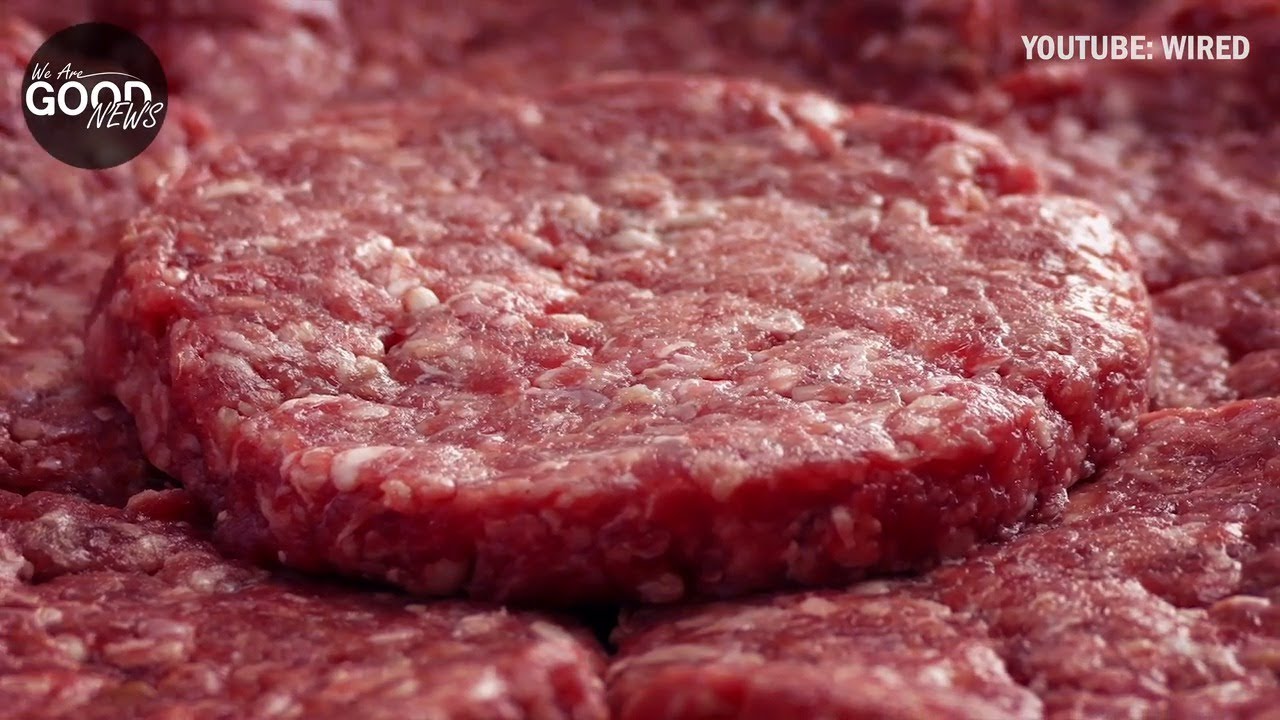 Clean Meat
