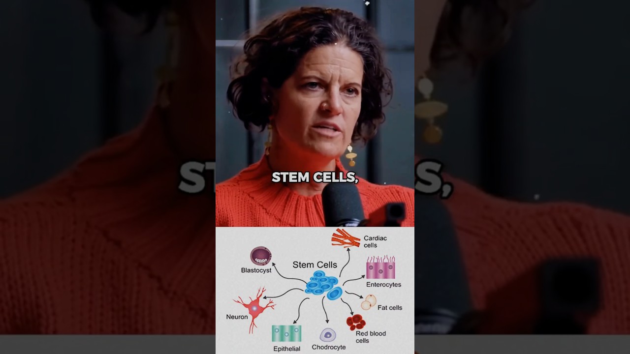 How to Fast To Trigger Stem Cell Repair 🧬