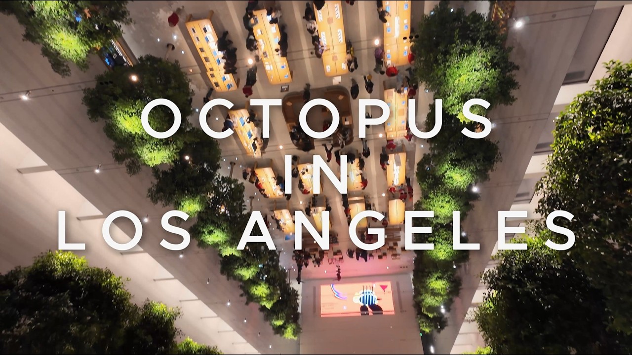 블랙 프라이데이 LA 나들이 - 멜로즈 에비뉴, 로데오 거리, 더 그로브 (Melrose Ave, Rodeo Dr, The Grove)