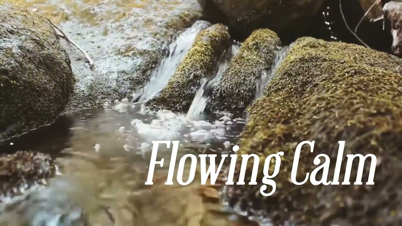 4 Hours of Healing Water & Forest Sounds | Relaxing Nature for Focus, Sleep, and Peaceful Ambient