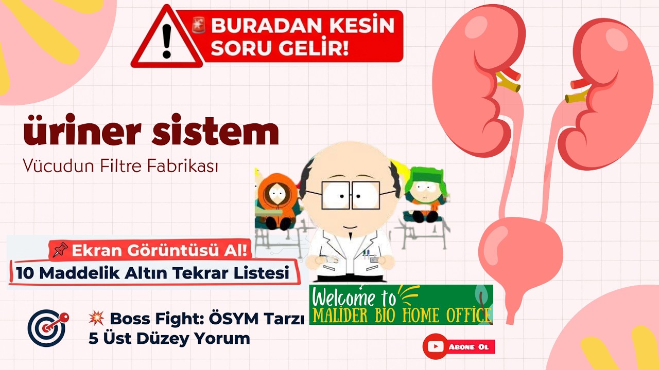 Üriner Sistem Çalışma Mantığı ve SınAV TuzaKları
