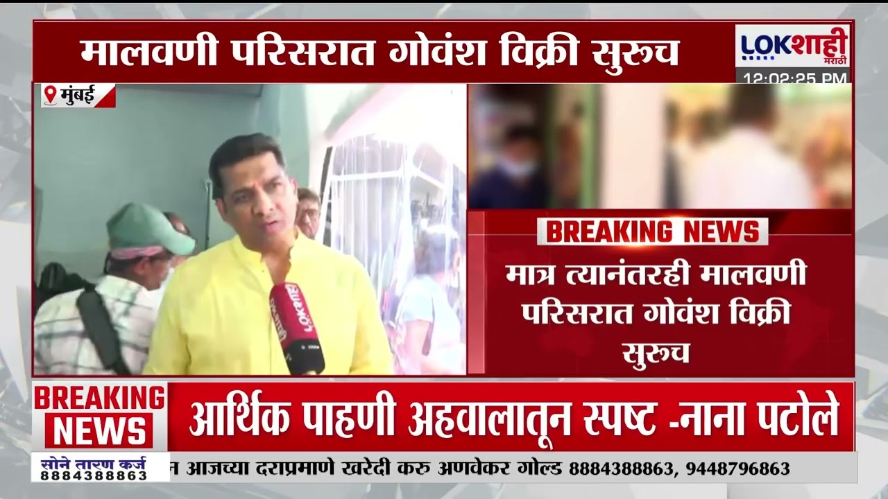 Lokshahi Marathi च्या स्टिंग ऑपरेशननंतरही गोवंश विक्री सुरु, अस्लम शेख यांची प्रतिक्रिया