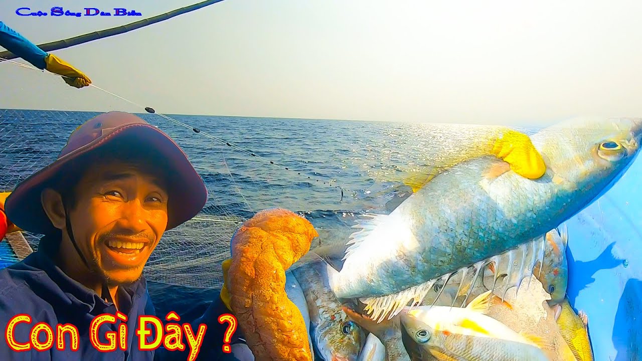 CÂU CÁ NGỪ ĐẠI DƯƠNG BIỂN HOÀNG SA 21║Rập Trúng Sinh Vật Lạ,Dính Lưới Cá Chuồn Của Ai.