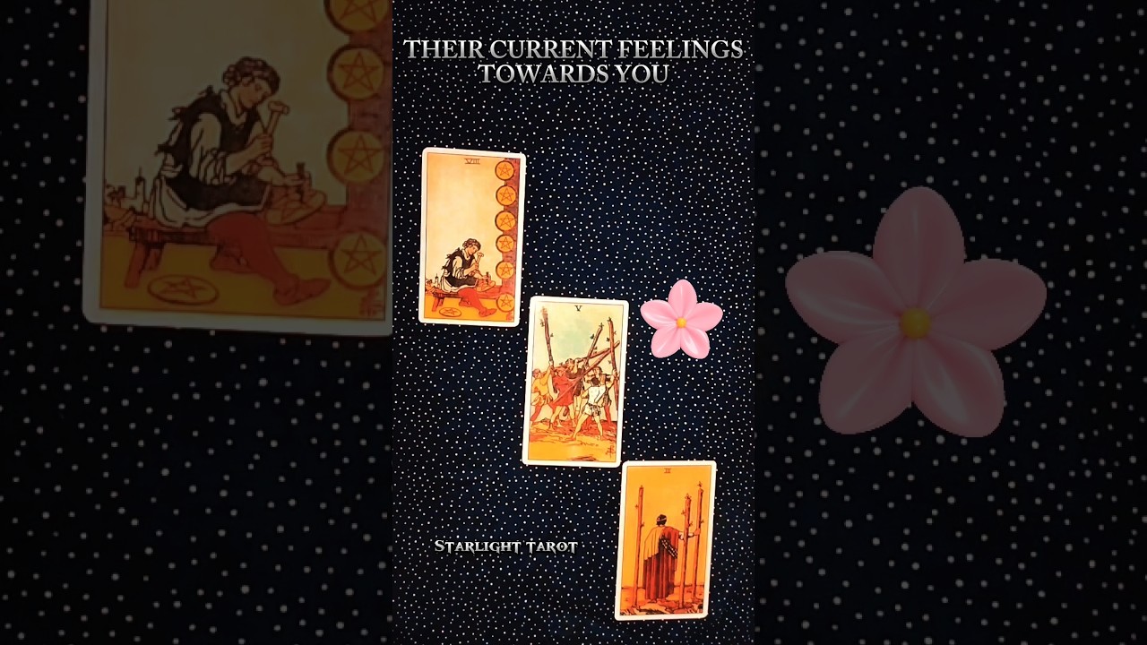 THIER CURRENT FEELINGS TOWARDS YOU ❤️🦋