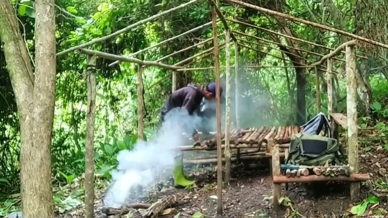 Berkemah ditengah hutan belantara membangun shelter sederhana tidur nyenyak semalaman menikmati alam